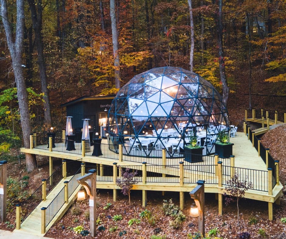 A developed tiny-home site in the woods